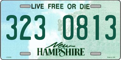 NH license plate 3230813