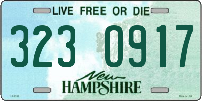NH license plate 3230917