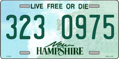 NH license plate 3230975