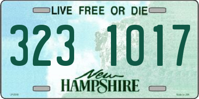 NH license plate 3231017