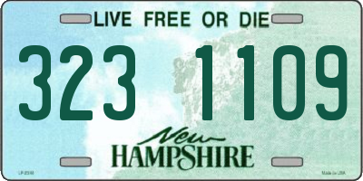 NH license plate 3231109