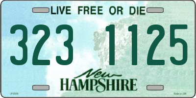 NH license plate 3231125