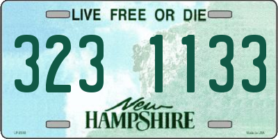 NH license plate 3231133
