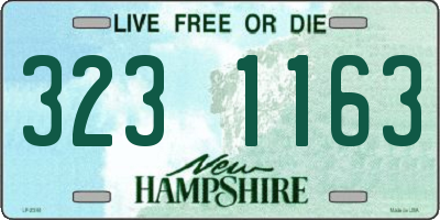 NH license plate 3231163