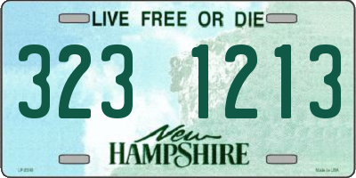 NH license plate 3231213