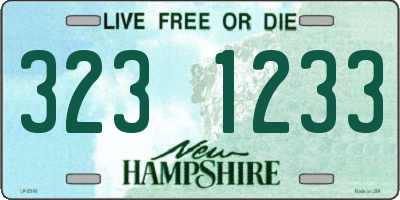 NH license plate 3231233