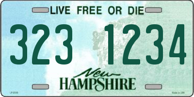 NH license plate 3231234