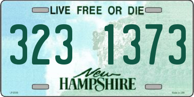 NH license plate 3231373