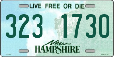 NH license plate 3231730