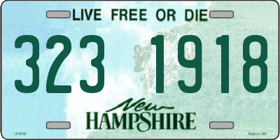 NH license plate 3231918