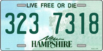 NH license plate 3237318