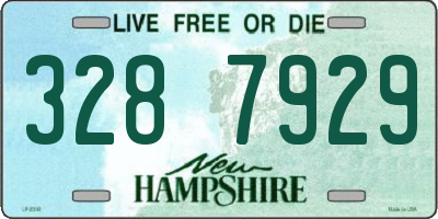 NH license plate 3287929