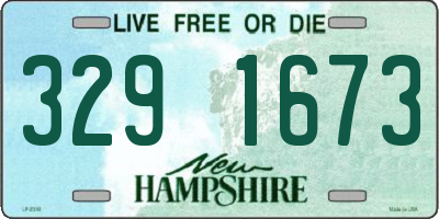 NH license plate 3291673