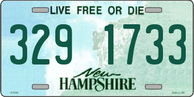 NH license plate 3291733