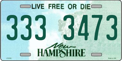 NH license plate 3333473