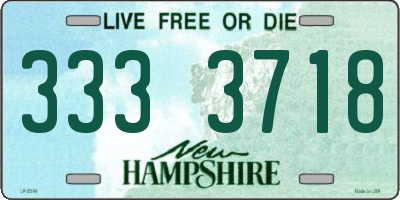 NH license plate 3333718