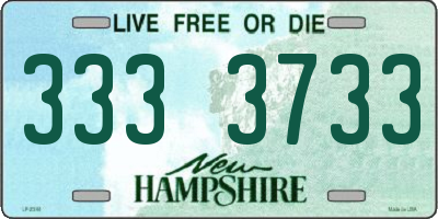 NH license plate 3333733