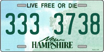 NH license plate 3333738