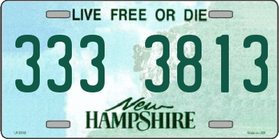 NH license plate 3333813