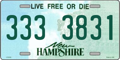NH license plate 3333831