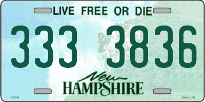 NH license plate 3333836