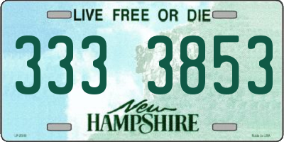 NH license plate 3333853