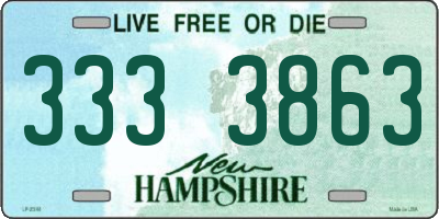 NH license plate 3333863