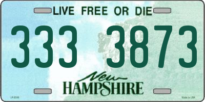 NH license plate 3333873