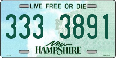 NH license plate 3333891