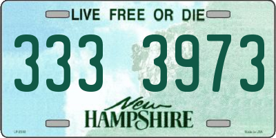 NH license plate 3333973