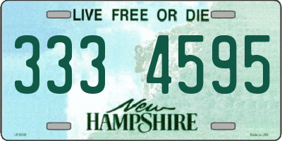 NH license plate 3334595