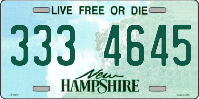 NH license plate 3334645