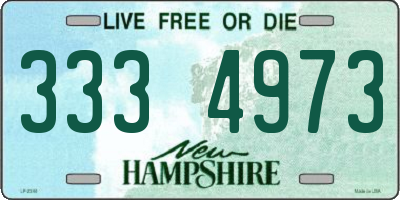 NH license plate 3334973