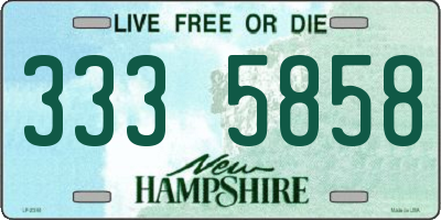 NH license plate 3335858