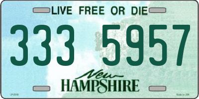 NH license plate 3335957