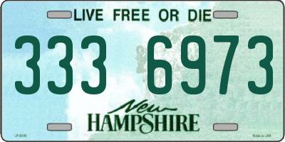 NH license plate 3336973