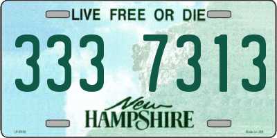 NH license plate 3337313