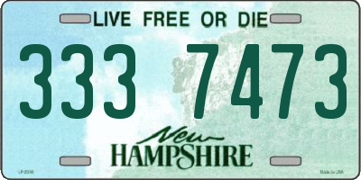 NH license plate 3337473