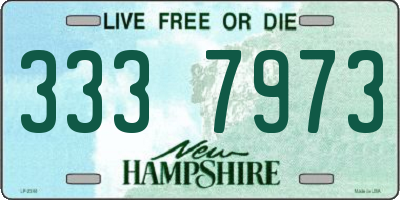 NH license plate 3337973