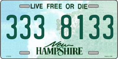 NH license plate 3338133