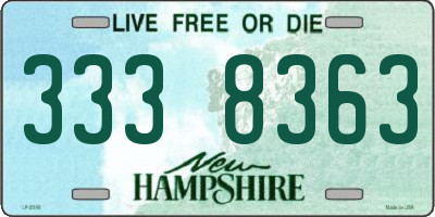 NH license plate 3338363