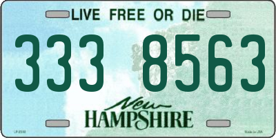 NH license plate 3338563