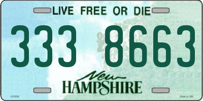 NH license plate 3338663