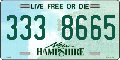 NH license plate 3338665