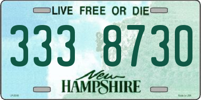 NH license plate 3338730