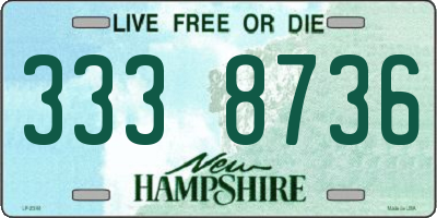 NH license plate 3338736