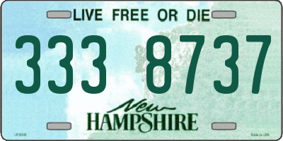 NH license plate 3338737