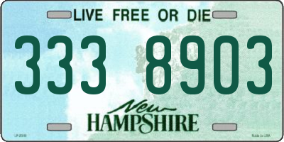 NH license plate 3338903