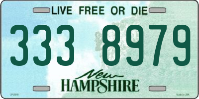 NH license plate 3338979