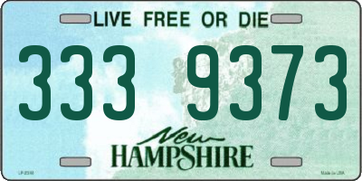 NH license plate 3339373